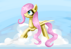 Size: 3700x2540 | Tagged: safe, artist:clrb, fluttershy, g4, cloud, cloudy, female, filly, high res, solo