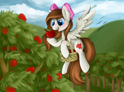 Size: 3000x2218 | Tagged: safe, artist:savannaeve, rainbow dash, oc, pegasus, pony, g4, apple, basket, high res