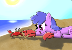 Size: 1300x900 | Tagged: safe, artist:ccortxx, cancer (g4), crab, earth pony, pony, g4, beach, cancer (horoscope), cute, female, mare, ponyscopes, zodiac