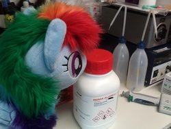 Size: 2592x1944 | Tagged: safe, artist:sethaa, rainbow dash, g4, chemistry, irl, laboratory, photo, plushie, poison