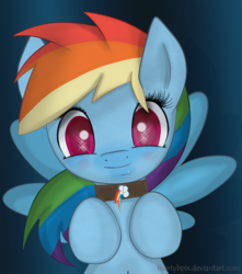 Size: 1000x1130 | Tagged: safe, artist:martybpix, rainbow dash, g4, belly button, collar, cute, dashabetes, female, solo