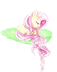 Size: 800x1005 | Tagged: safe, artist:paleblank, fluttershy, g4, female, grass, lying, simple background, sleeping, solo, transparent background