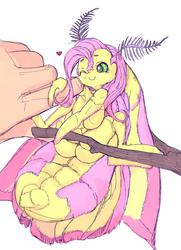 Size: 1024x1418 | Tagged: safe, artist:iizuna, fluttershy, human, insect, moth, mothpony, original species, g4, c:, cute, fluffy, fluttermoth, hand, hanging, heart, one eye closed, petting, rosy maple moth, rubbing, shyabetes, simple background, size difference, smiling, species swap, tree branch, wink