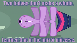 Size: 1920x1080 | Tagged: safe, artist:dowlphin, edit, screencap, twilight sparkle, g4, bisection, female, image macro, meme, not salmon, solo, unitinu, wat, what has magic done, what has science done