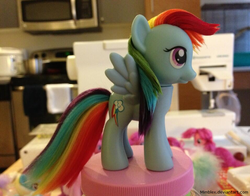 Size: 812x637 | Tagged: safe, artist:moon-bees, artist:mumbles, rainbow dash, pegasus, pony, g4, brushable, customized toy, irl, photo, show accurate, solo, toy