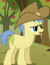 Size: 361x468 | Tagged: safe, screencap, goldengrape, sir colton vines iii, earth pony, pony, g4, over a barrel, animation error, background pony, cropped, male, solo, stallion