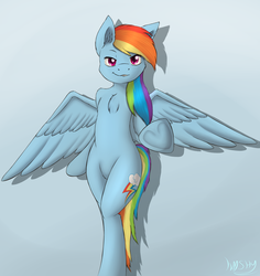 Size: 2036x2160 | Tagged: safe, artist:imshysoihide, rainbow dash, pegasus, pony, semi-anthro, g4, bipedal, chest fluff, female, high res, looking at you, mare, simple background, solo, underhoof