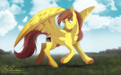 Size: 1296x809 | Tagged: dead source, safe, artist:dvixie, oc, oc only, oc:rory kenneigh, pegasus, pony, g4, beard, brown mane, cloud, cloudy, field, male, male oc, nintendo, nintendo entertainment system, outdoors, pegasus oc, pony oc, ponytail, signature, solo, standing, url