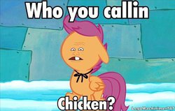 Size: 480x305 | Tagged: safe, scootaloo, chicken, g4, ambiguous gender, pinhead larry, scootachicken, solo, spongebob squarepants, survival of the idiots