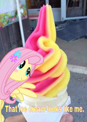 Size: 500x701 | Tagged: safe, fluttershy, g4, ice cream, photo, text