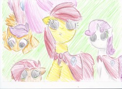 Size: 2338x1700 | Tagged: safe, artist:kvedja, apple bloom, babs seed, scootaloo, sweetie belle, g4, cutie mark crusaders, traditional art