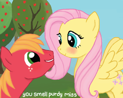 Size: 700x560 | Tagged: safe, artist:thecat101, big macintosh, fluttershy, earth pony, pony, g4, blushing, compliment, male, ship:fluttermac, shipping, stallion, straight