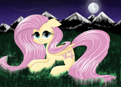 Size: 3500x2500 | Tagged: safe, artist:mite-lime, fluttershy, pegasus, pony, g4, female, grass, high res, looking at you, moon, mountain, mountain range, night, solo