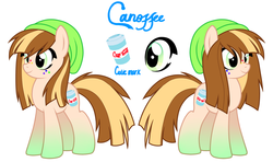 Size: 1871x1111 | Tagged: safe, artist:familyof6, oc, oc only, oc:canoffee, earth pony, pony, beanie, freckles, gradient hooves, hat, solo