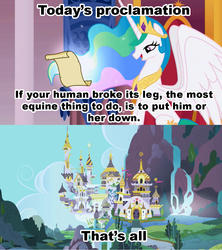 Size: 1021x1149 | Tagged: safe, princess celestia, alicorn, pony, g4, caption, celestia's proclamation, comic, euthanasia, exploitable meme, implied human, meme, role reversal, unnecessary comma