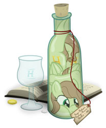 Size: 2500x3000 | Tagged: safe, artist:icaron, oc, oc only, oc:saga, pegasus, pony, book, both cutie marks, bottle, coin, cork, glass, high res, historian, label, pony in a bottle, show accurate, solo