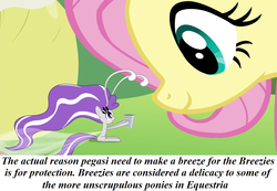 Size: 1280x886 | Tagged: safe, fluttershy, breezie, g4, headcanon, redpilled-mlp-headcanons