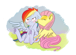 Size: 3507x2550 | Tagged: safe, artist:skunkwaffle, fluttershy, rainbow dash, g4, blushing, cute, eyes closed, female, floppy ears, fluffy, frown, grumpy, high res, lesbian, nose wrinkle, nuzzling, pouting, ship:flutterdash, shipping, simple background, sitting, smiling, spread wings, underhoof