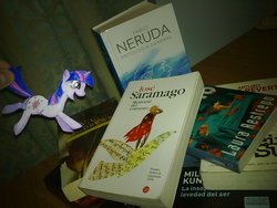 Size: 2048x1536 | Tagged: safe, artist:himekoyagami, twilight sparkle, g4, book, book denial, happy, paper child, photo, that pony sure does love books, traditional art