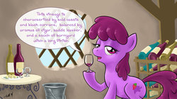 Size: 1920x1080 | Tagged: safe, artist:giantmosquito, berry punch, berryshine, g4, bucket, cheese, female, solo, sommelier, wine, wine bottle, wine tasting