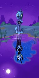 Size: 2400x4800 | Tagged: safe, artist:durger, nightmare moon, princess luna, g4, duality, reflection, s1 luna, water