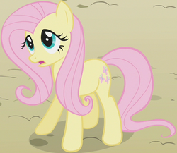 Size: 599x519 | Tagged: safe, screencap, fluttershy, pony, the return of harmony, animation error, female, mare, outfit catalog, solo, wingless