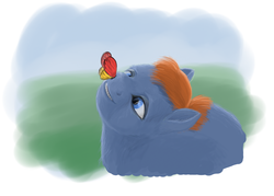 Size: 1344x960 | Tagged: safe, artist:russian_hugboxer, butterfly, fluffy pony, cross-eyed, grin, hugbox, smiling, solo