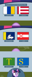 Size: 1000x2400 | Tagged: safe, artist:parclytaxel, twilight sparkle, alicorn, classical unicorn, pony, g4, doetinchem, eindhoven, embarrassed, female, flag, horn, juxtaposition, key, laren, leiden, leonine tail, mare, menaldumadeel, menameradiel, municipality, netherlands, pov, pun, sint anthonis, solo, tumblr, twilight sparkle (alicorn), twitwee, vexillology