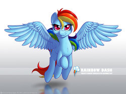 Size: 1600x1200 | Tagged: safe, artist:indivicolours, rainbow dash, g4, female, solo, wallpaper