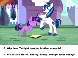 Size: 1026x763 | Tagged: safe, shining armor, twilight sparkle, g4, cute, mind blown, pun