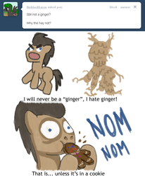 Size: 1008x1224 | Tagged: safe, doctor whooves, time turner, ask dr whooves, g4, ask, askdrwhooves, comic, ginger, ginger root, gingerbread man, male, solo, tumblr