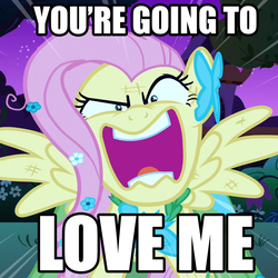 Size: 1080x1080 | Tagged: safe, edit, edited screencap, screencap, fluttershy, pegasus, pony, g4, the best night ever, artifact, clothes, dress, female, flutterrage, gala dress, image macro, mare, meme, solo, text, you're going to love me