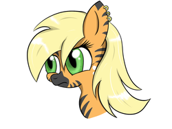 Size: 1000x750 | Tagged: safe, applejack, zebra, g4, ear piercing, earring, female, jewelry, piercing, simple background, solo, species swap, zebrafied, zebrajack