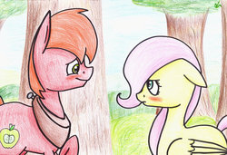 Size: 1024x701 | Tagged: safe, artist:lrusu, big macintosh, fluttershy, earth pony, pony, g4, blushing, male, ship:fluttermac, shipping, stallion, straight, traditional art