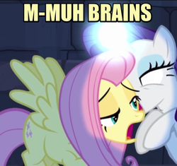 Size: 374x351 | Tagged: safe, fluttershy, rarity, g4, faic, image macro, meme