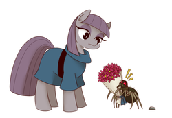 Size: 980x673 | Tagged: safe, artist:うめぐる, fuzzy legs, maud pie, spider, g4, bouquet, rock