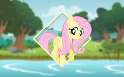 Size: 1920x1200 | Tagged: safe, artist:damuchi99, artist:leslers, edit, fluttershy, pony, g4, female, solo, vector, wallpaper, wallpaper edit