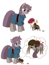 Size: 1000x1327 | Tagged: safe, artist:うめぐる, fuzzy legs, maud pie, pony, spider, g4, blushing, cargo ship, clothes, comic, crack shipping, female, heart, mare, pictogram, shipping, simple background, spiderbro, thought bubble, white background