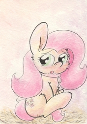Size: 684x966 | Tagged: safe, artist:slightlyshade, fluttershy, g4, collar, female, hay, looking back, pet tag, sitting, solo, traditional art