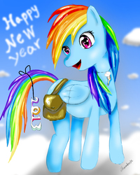 Size: 892x1113 | Tagged: safe, artist:dashy21, rainbow dash, g4, 2013, female, happy new year, solo