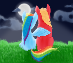 Size: 595x515 | Tagged: safe, artist:karmadash, big macintosh, rainbow dash, earth pony, pony, g4, behind, grass, male, moon, moonlight, ship:rainbowmac, shipping, stallion, stars, straight, wings