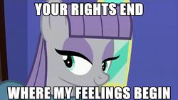 Size: 640x360 | Tagged: safe, edit, edited screencap, screencap, maud pie, g4, caption, female, image macro, meme, mouthpiece, smiling, social justice, solo