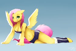 Size: 1280x864 | Tagged: dead source, safe, artist:hattiezazu, fluttershy, anthro, g4, belly button, breasts, busty fluttershy, clothes, female, leg warmers, looking at you, on side, shorts, solo, sports bra