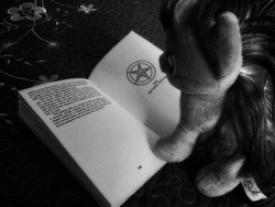 Size: 2560x1920 | Tagged: safe, artist:crucifythewolf, twilight sparkle, g4, black and white, book, grayscale, irl, monochrome, pentagram, photo, photography, plushie, reading, ritual, satanic, solo