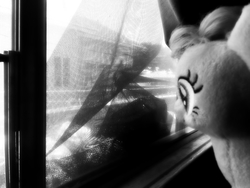 Size: 2560x1920 | Tagged: safe, artist:crucifythewolf, pinkie pie, g4, black and white, grayscale, irl, monochrome, photo, photography, plushie, solo