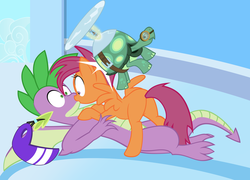 Size: 5511x3968 | Tagged: safe, artist:minanfranco, scootaloo, spike, tank, dragon, pegasus, pony, tortoise, g4, accidental kiss, female, helmet, implied scootaspike, kiss on the lips, kissing, male, older, older scootaloo, older spike, ship:scootaspike, shipper on deck, shipping, straight, teenage spike, teenaged dragon, teenager, trio, winged spike, wings