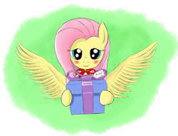 Size: 1333x1017 | Tagged: safe, artist:kasaler, fluttershy, g4, female, present, solo