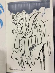Size: 768x1024 | Tagged: safe, artist:thom zahler, earth pony, pony, 2014, elsa, female, frozen (movie), heroescon, heroescon 2014, mare, ponified, signature, solo, traditional art