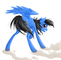Size: 1024x994 | Tagged: safe, artist:holka13, oc, oc only, pegasus, pony, female, mare, solo