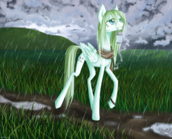 Size: 2100x1700 | Tagged: safe, artist:holka13, oc, oc only, pegasus, pony, clothes, female, field, mare, rain, scarf, skinny, solo, thin